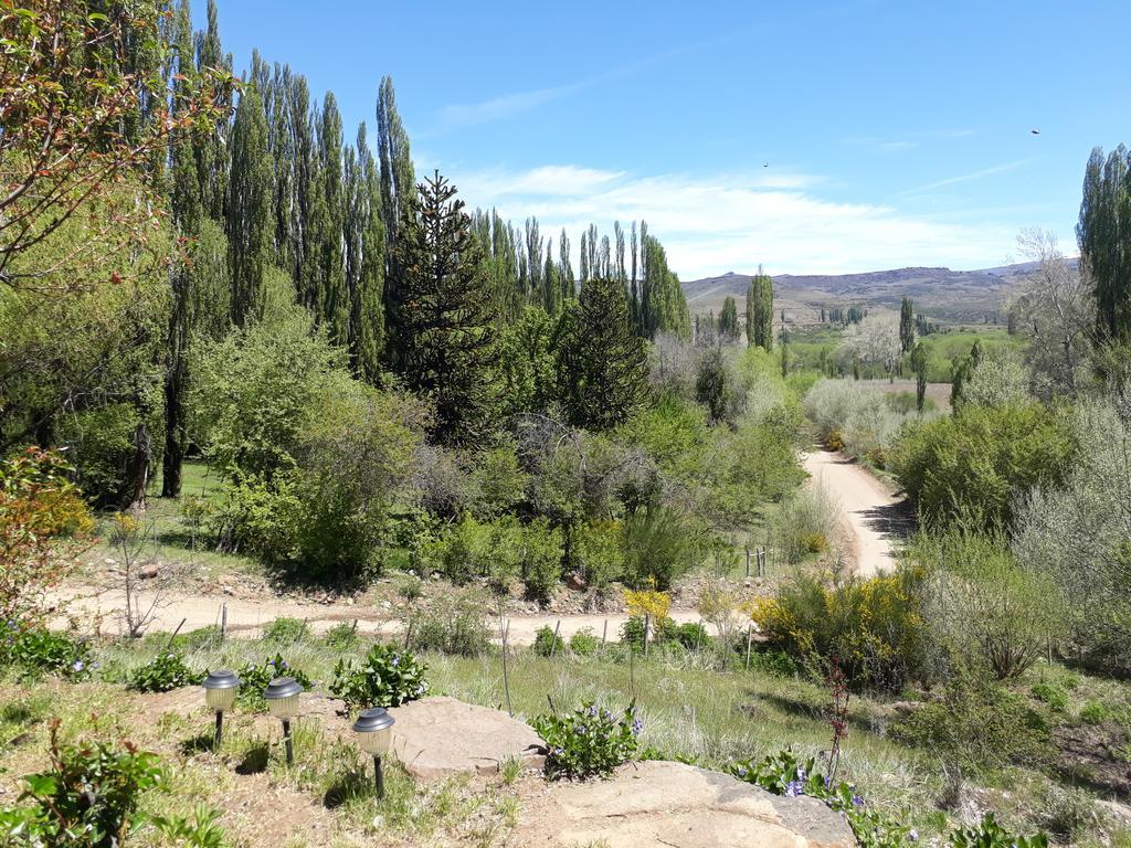 Posada De Campo La Calma Alumine Exterior photo